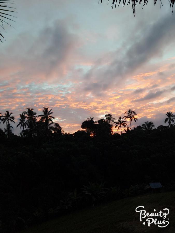 Babahan Farmstay Selemadeg Exterior foto