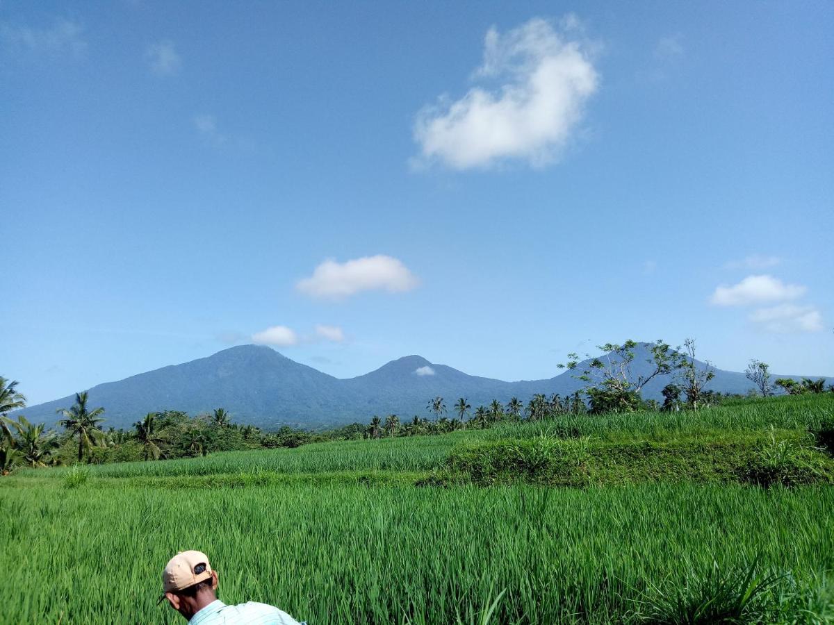 Babahan Farmstay Selemadeg Exterior foto