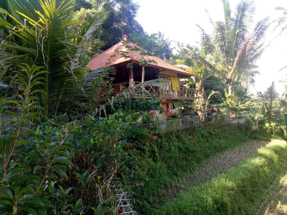 Babahan Farmstay Selemadeg Exterior foto